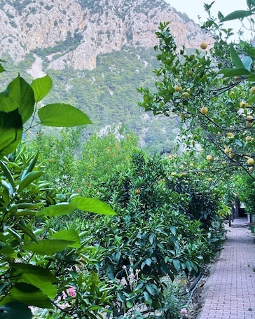 Exterior. Olympos Varuna Pansiyon