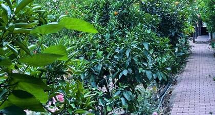 Olympos Varuna Pansiyon