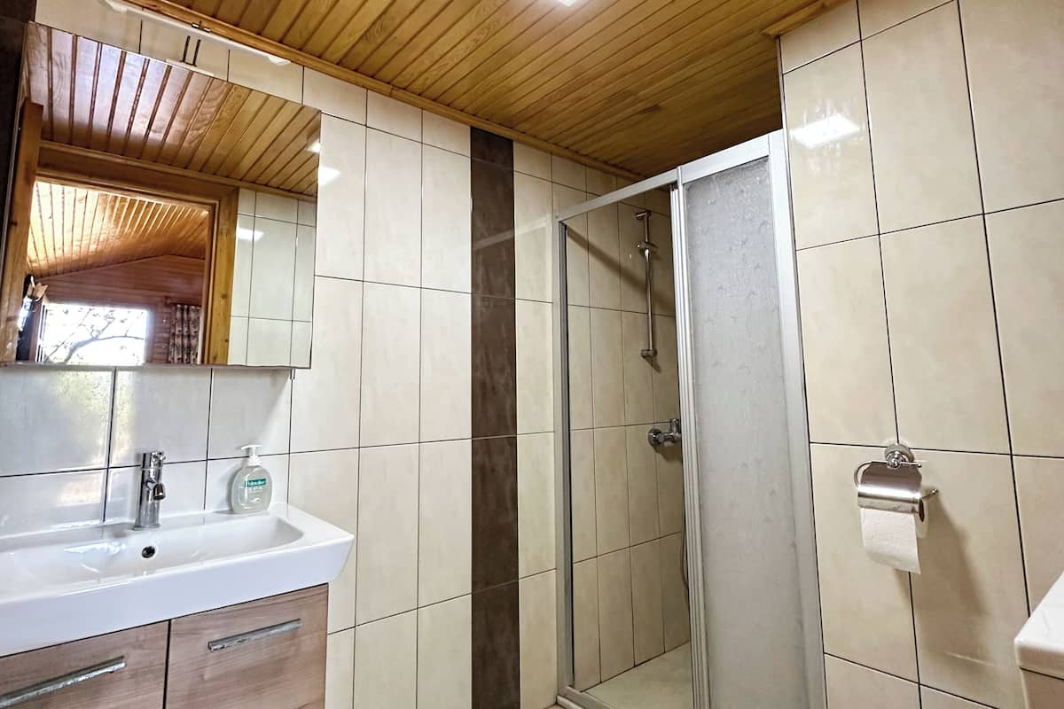 Shower, hair dryer, towels