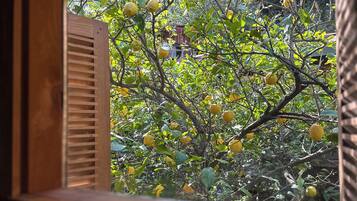 1 habitación y ropa de cama de alta calidad