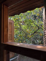 1 habitación y ropa de cama de alta calidad 