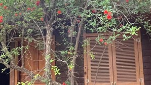 Una cabaña de madera con un pequeño porche y una puerta de madera.
