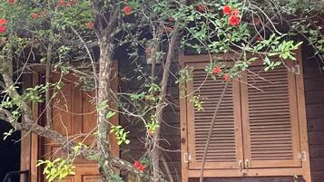 1 habitación y ropa de cama de alta calidad