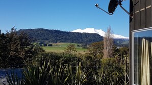 Un'antenna parabolica fissata a un edificio, un cielo azzurro limpido e una montagna innevata sullo sfondo.