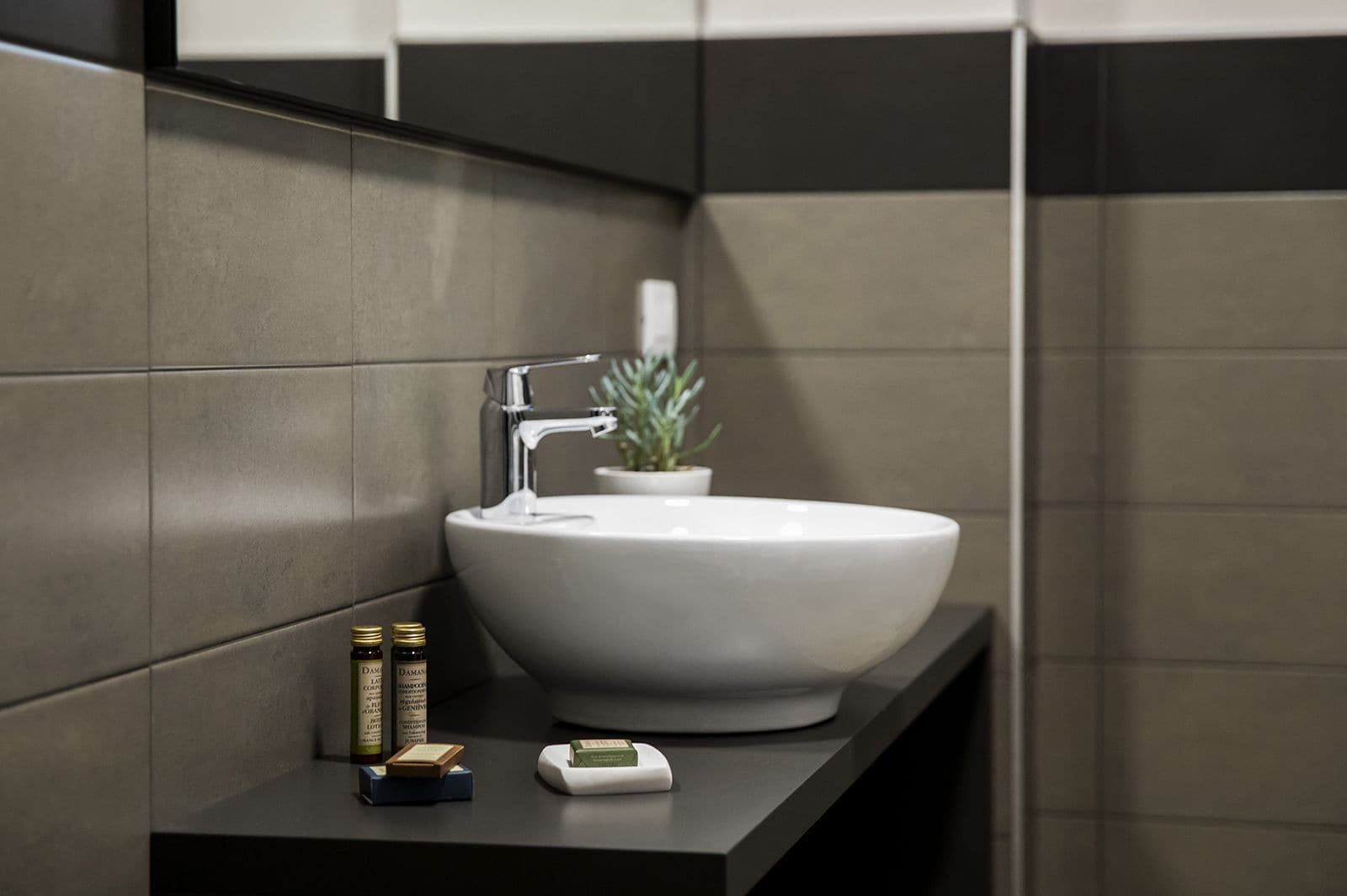 A bathroom with a white sink, a potted plant, and toiletries on a dark countertop.