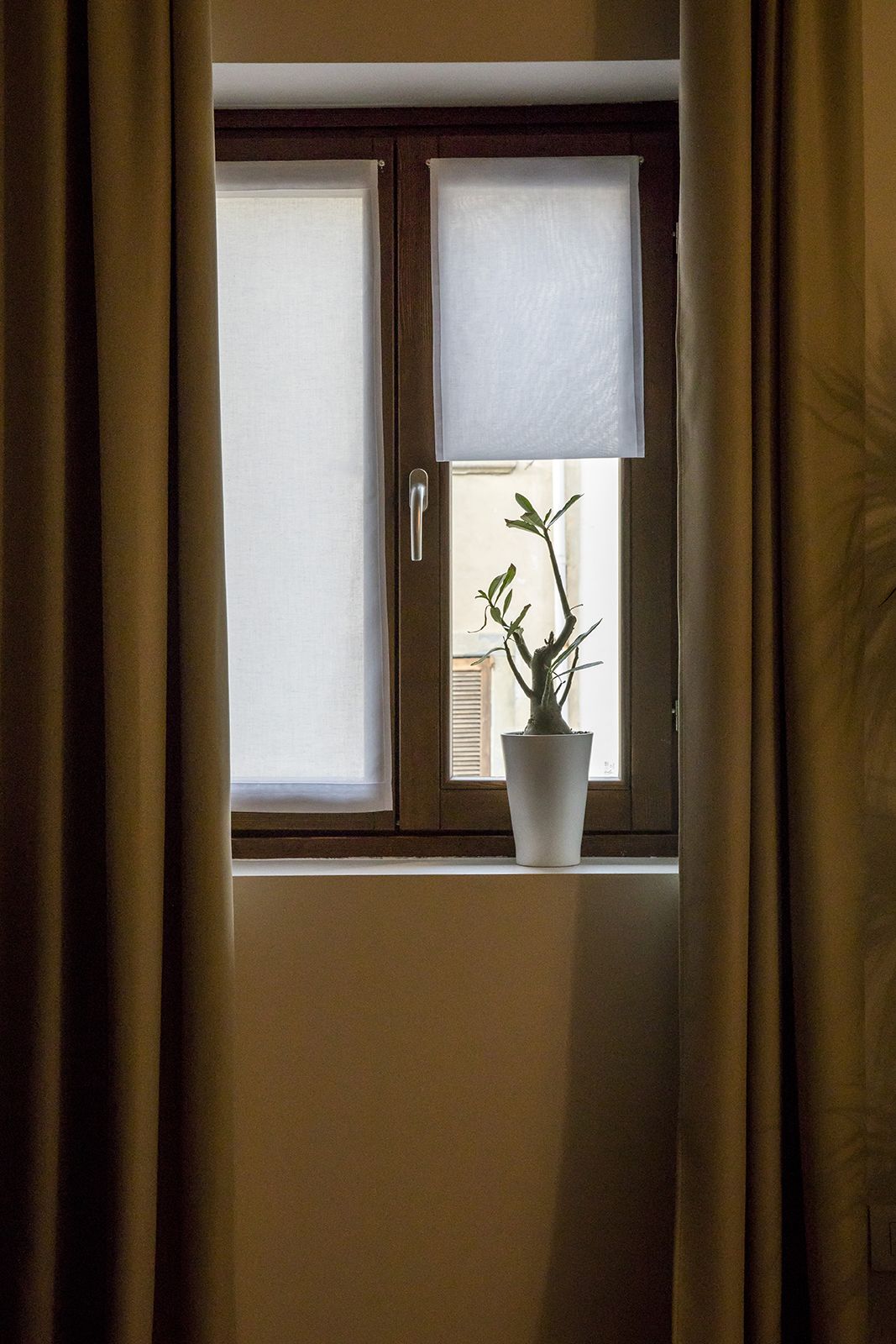 Une fenêtre avec un pot de fleurs et une vue sur un bâtiment à l’extérieur.