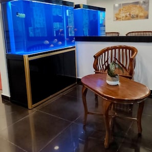 Een kamer met een aquarium, een houten stoel en een betegelde vloer.