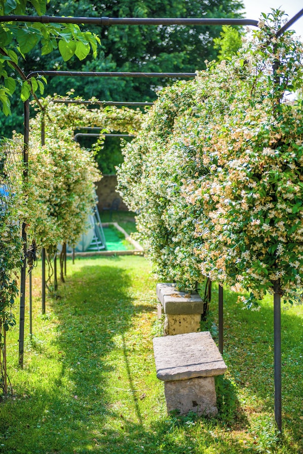 Un sentier de jardin agrémenté de bancs en pierre et de plantes grimpantes.
