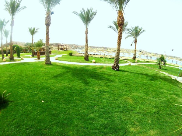 A well-maintained grassy area with palm trees and a pathway leading to a beach area with umbrellas. - Xperience Golden Sandy Beach (Sharm El Sheikh)