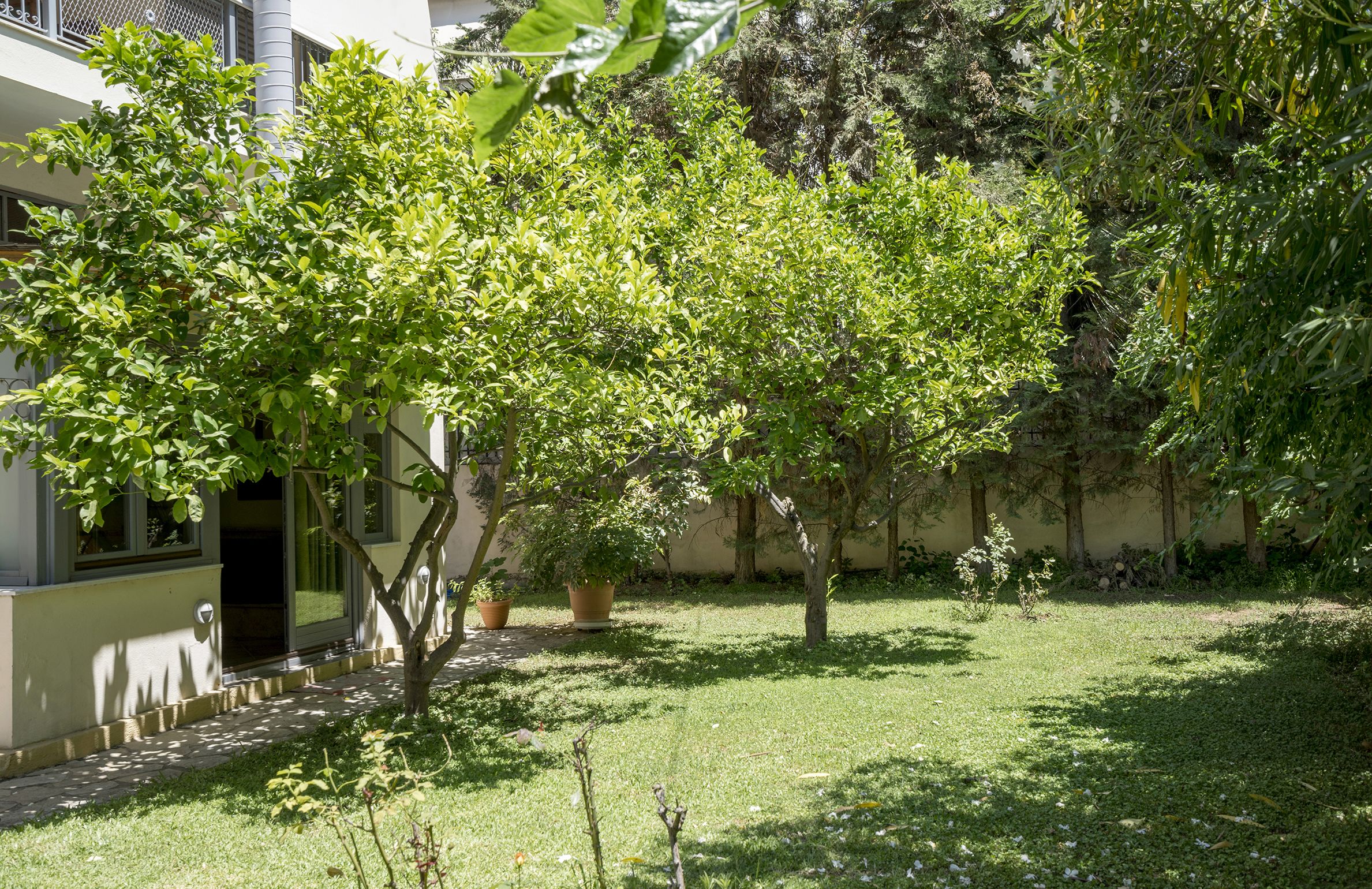 A well-maintained garden with a variety of trees and shrubs, a paved pathway, and a building with a modern design.