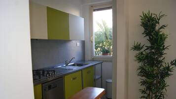 Fridge, microwave, stovetop, cookware/dishes/utensils