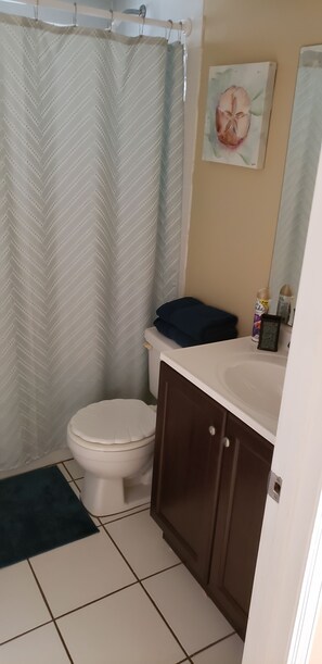 Combined shower/bathtub, hair dryer, towels, toilet paper - Paradise in Hudson with stunning gulf views. First class fishing and boating. (Hudson)
