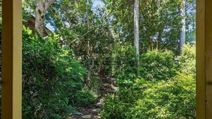 A stone pathway leading through a lush garden with dense foliage and trees.