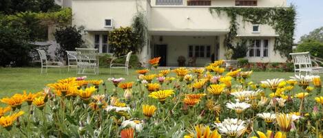Superior Double Room, Garden View | Garden view
