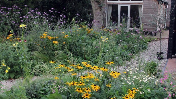 Ein Garten mit gelben Blumen und ein Haus mit schrägem Dach.
