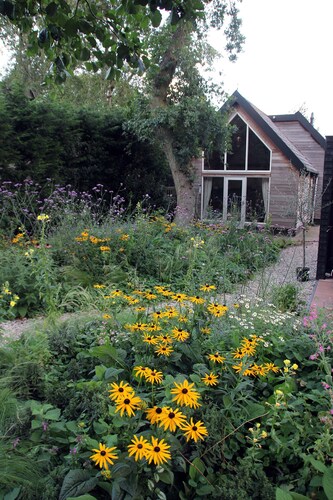 Detached vacation home on the Schoorl dunes.