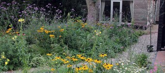 Detached vacation home on the Schoorl dunes.