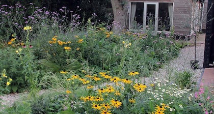 Detached vacation home on the Schoorl dunes.