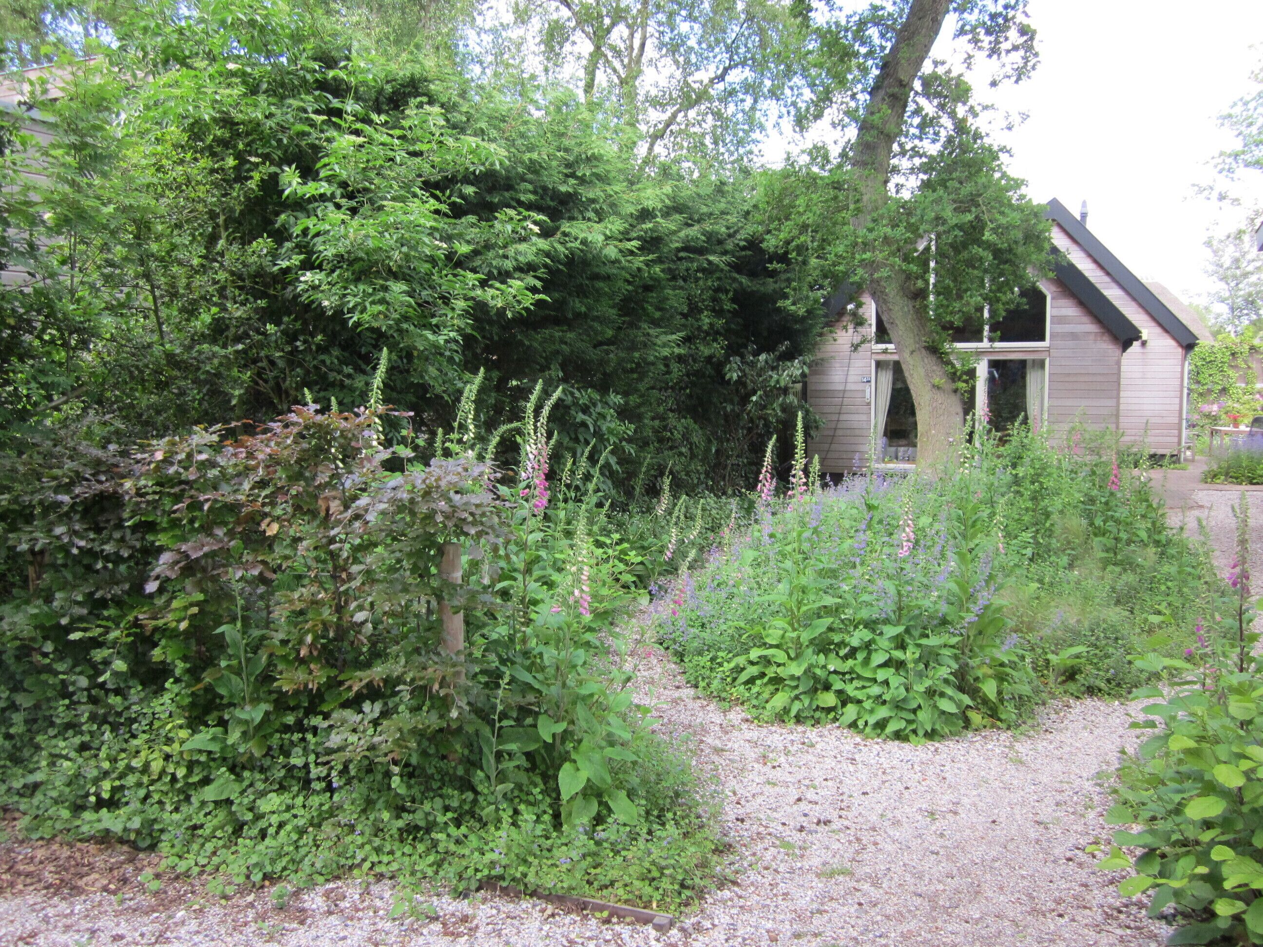 A garden with a gravel path leading to a wooden cabin.