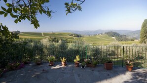 Une terrasse agrémentée de plantes en pot et offrant une vue sur les vignes.