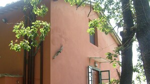 Un bâtiment avec un escalier menant à une porte, entouré d’arbres et avec un tuyau d’arrosage sur le sol.