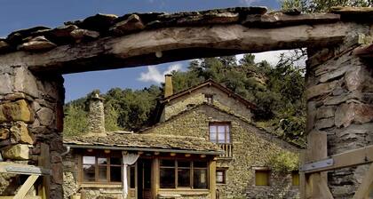 Viehättävä maalaismainen talo keskellä metsää, takka, ihanteellinen lemmikkieläimille