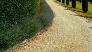 A gravel path flanked by neatly trimmed hedges and tall cypress trees, leading through a well-maintained garden with a clear blue sky above. - Legnaia countryside luxury property, shared pool, ideal base to discover Tuscany (Siena)