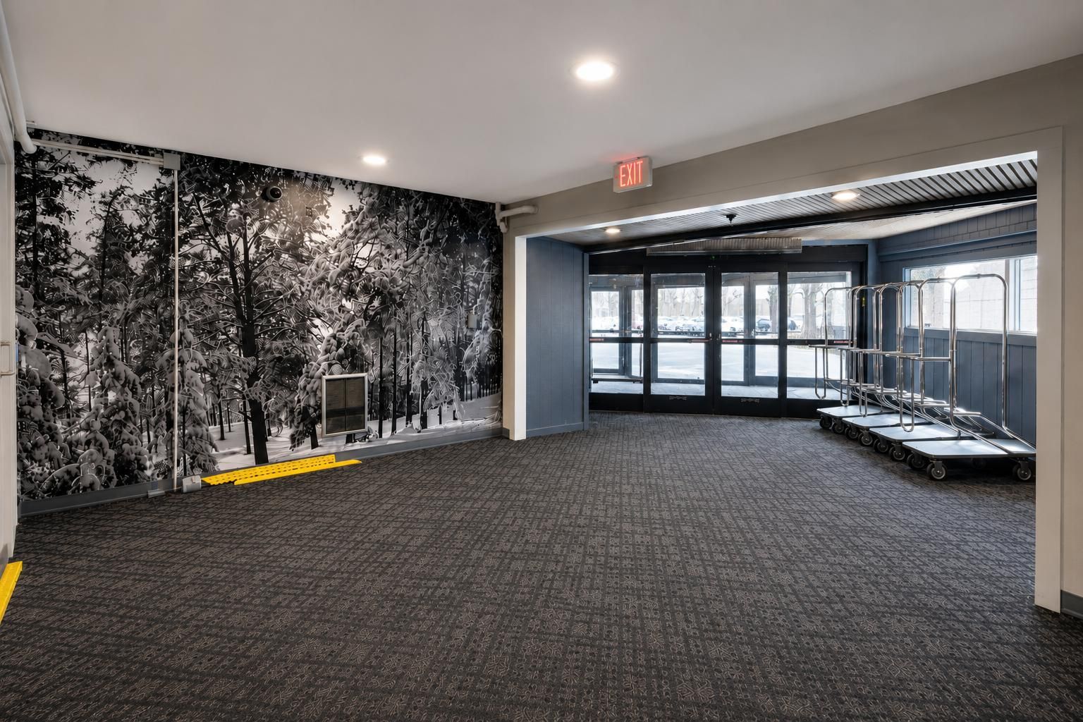 A spacious room with a patterned carpet, a mural of trees on the wall, and a view through large windows.