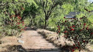 A stone pathway leading through a natural area with trees and shrubs, and a building in the background.