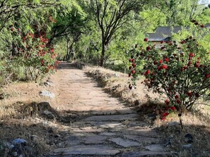 Overnatningsstedets område