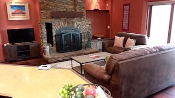 Televisión, chimenea, reproductor de DVD y libros