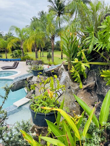 Perdu au paradis ... Itzayana Estate (Un don de Dieu en langue maya)