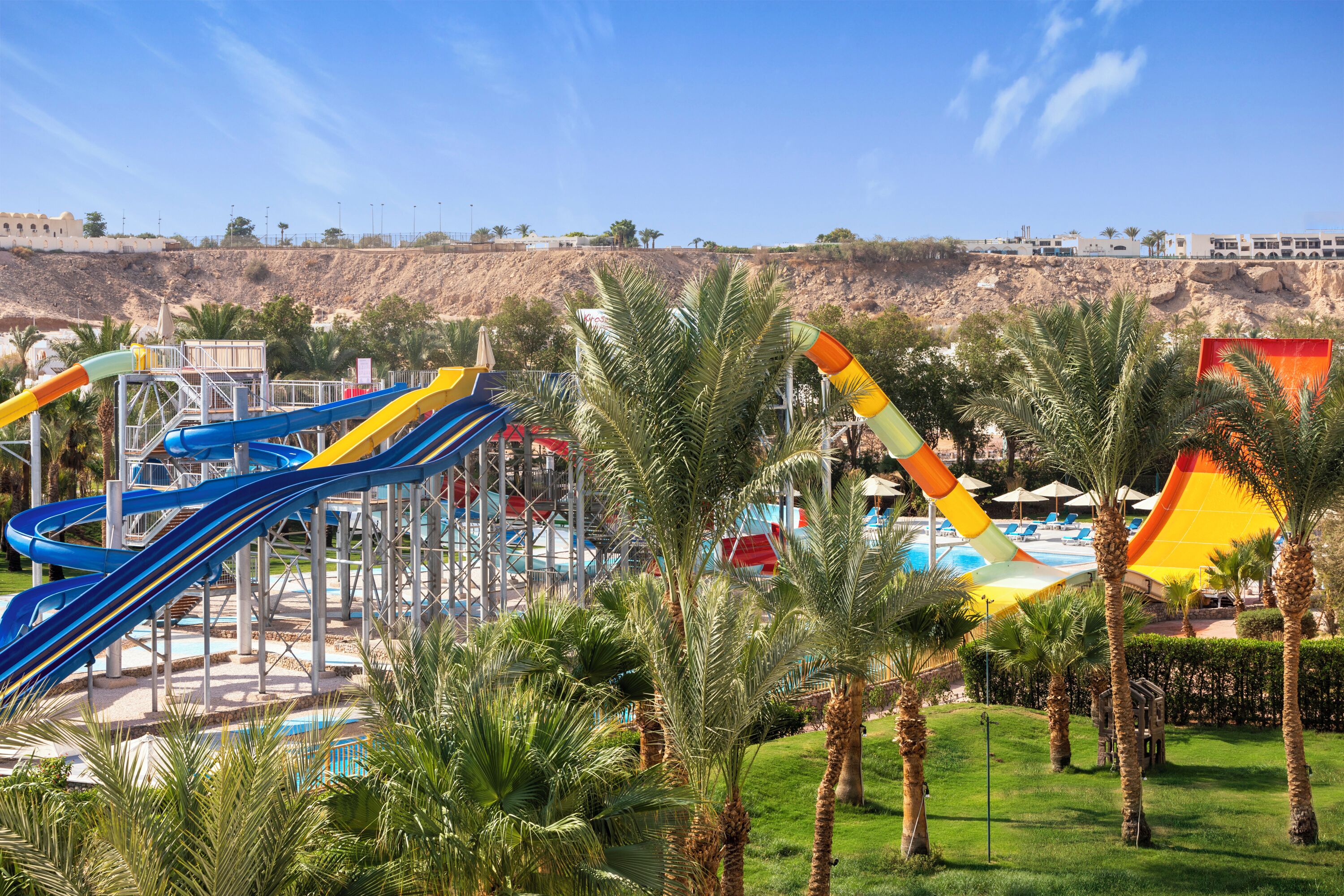 Parque acuático con toboganes y una piscina rodeada de palmeras.