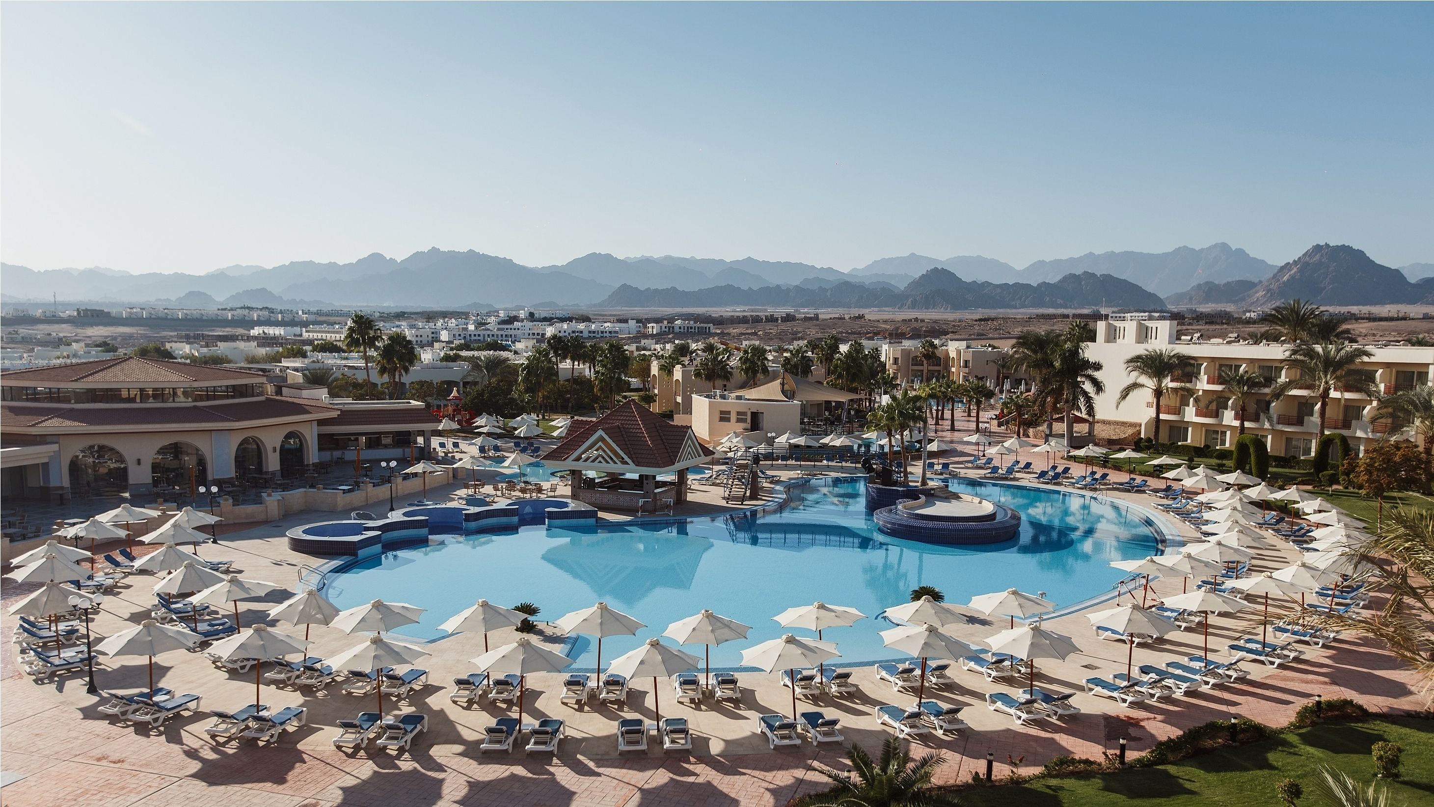 Un complexe hôtelier doté d’une grande piscine, de chaises longues et de palmiers.
