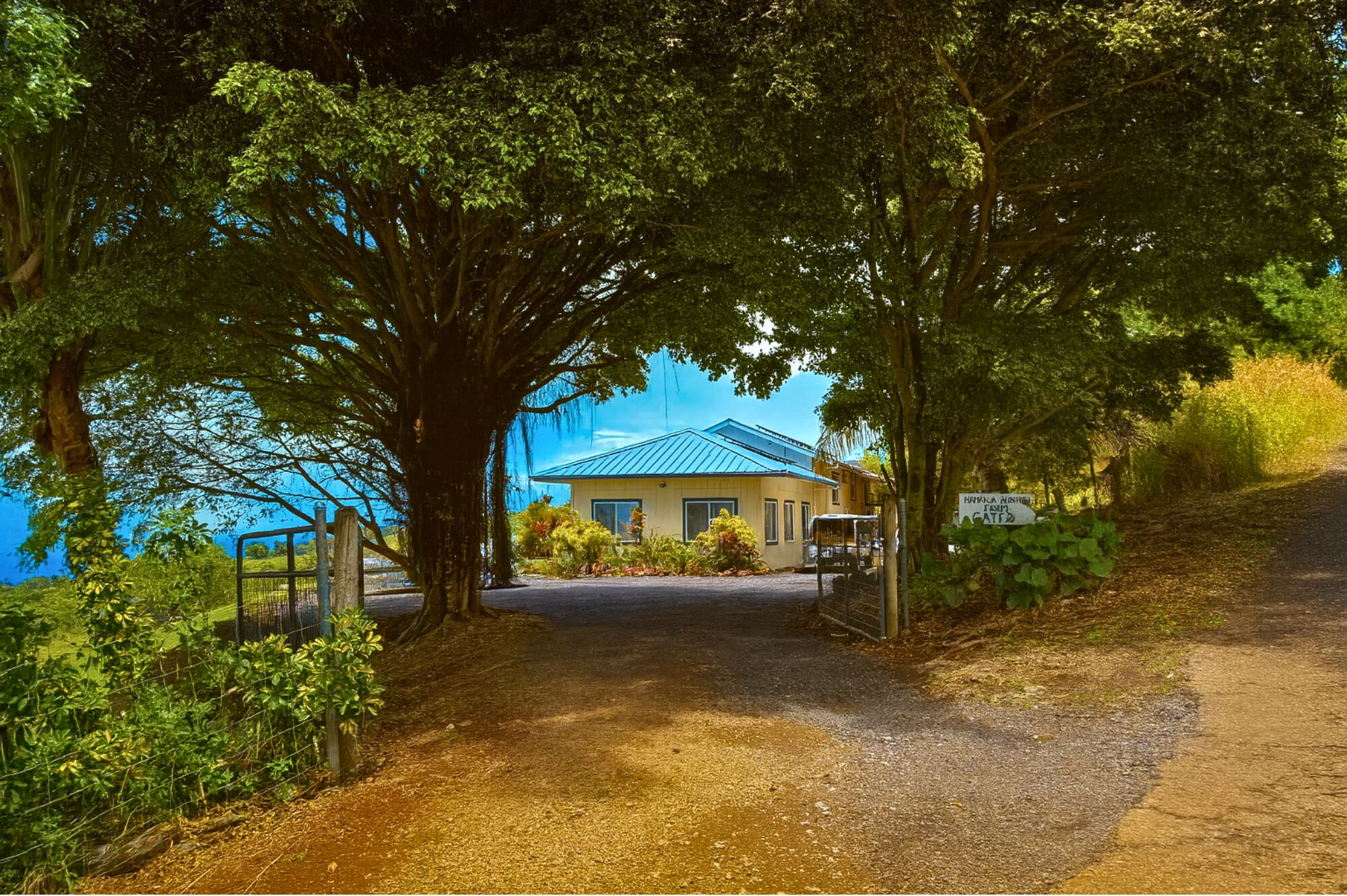 A house with a blue roof, surrounded by trees and a gravel path leading to it.