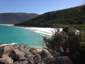 A coastal landscape with a beach, rocky foreground, and a hill with dense vegetation.