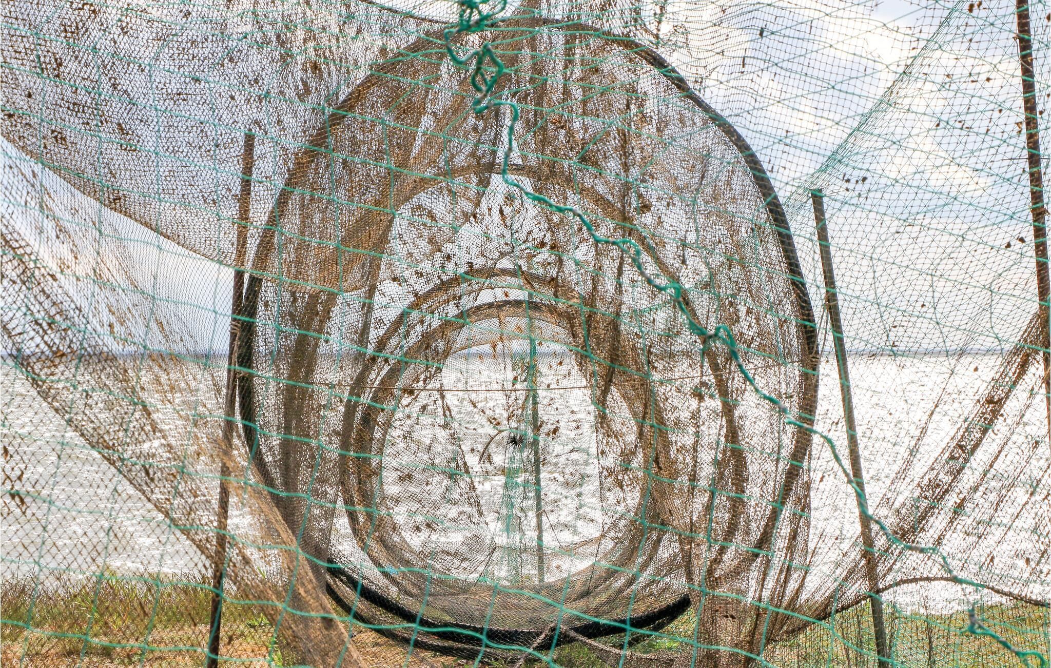 Une structure circulaire dotée d’une surface en treillis, peut-être un grand filet ou un enclos, entourée d’une clôture en fil de fer vert.