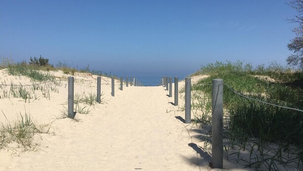 Un sendero arenoso en la playa con postes de madera y una vista despejada del océano.