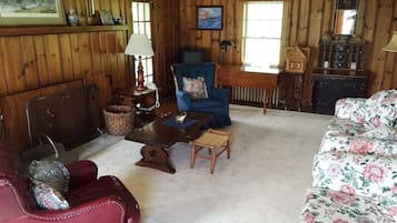 Smart TV, fireplace, video games, DVD player