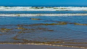 Una playa con agua azul cristalina y olas.