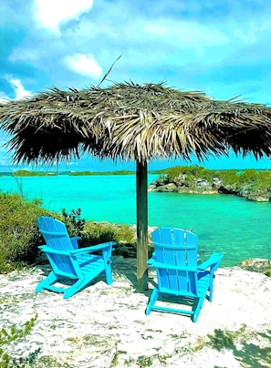 Property grounds - Oceanfront Villa-Panoramic Views-Private Beach-Infinity Edge Pool-Beach Fire Pit (Providenciales)