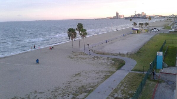 A coastal beach with a paved walkway, palm trees, and a distant city skyline. - Sands of time,VIEW 180°, PEACEFUL,360° VIDEO,WIFI, CABLE,ROKU,DVDS, FALL CHEAPER (Corpus Christi)