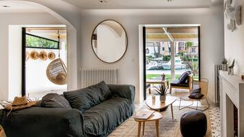 TV connectée, cheminée, lecteur de DVD, livres