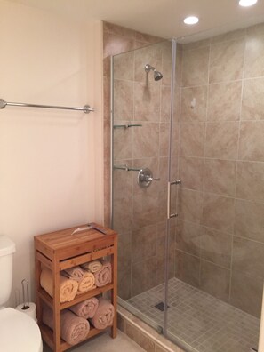 Combined shower/tub, towels, soap, toilet paper