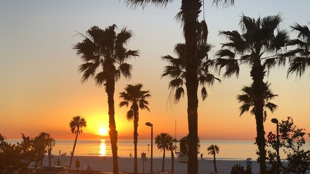 A sunset view with palm trees and a beach.