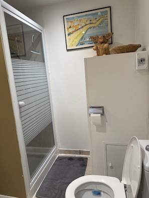 A bathroom with a toilet, a shower, a framed painting, and a decorative basket.