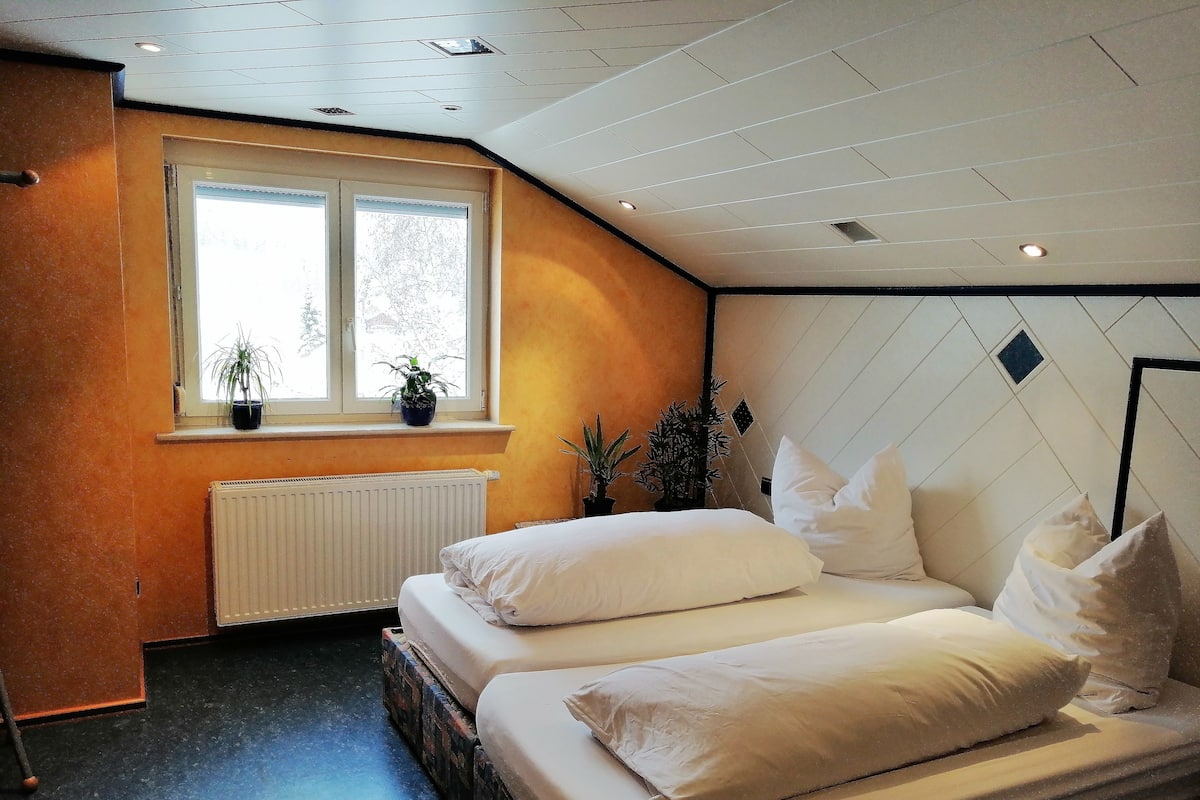 A bedroom with two beds, a window with plants, a radiator, and a ceiling with recessed lighting.
