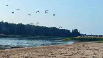 A sandy beach with a calm river, a forested area, and a few buildings in the distance.