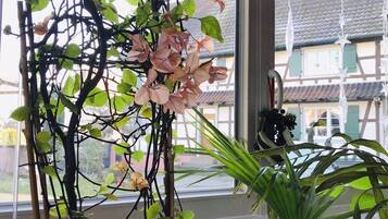 Blick durch ein Fenster auf eine Pflanze mit rosa Blüten und grünen Blättern, einen Bambusstab und eine weitere Pflanze mit langen Blättern.