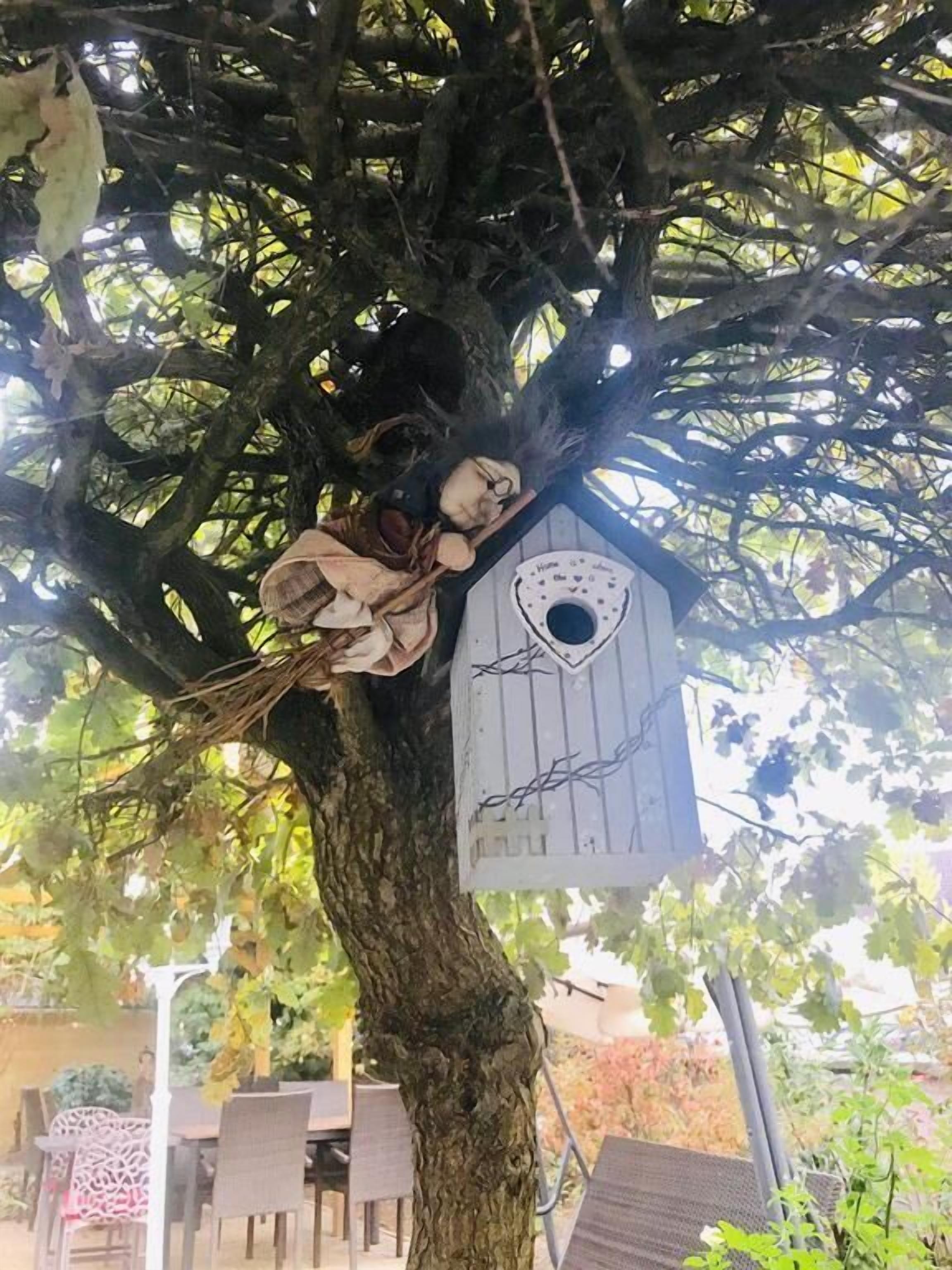 Un arbre avec une nichoir et une poupée suspendue à une de ses branches.